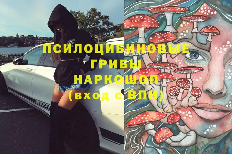 дарнет шоп  OMG зеркало  Псилоцибиновые грибы Magic Shrooms  Алупка 